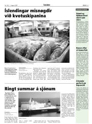 Síða 31