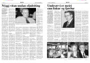 Síða 6