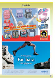 Síða 1