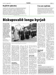Síða 11
