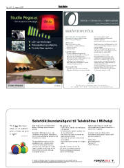 Síða 17