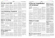 Síða 14