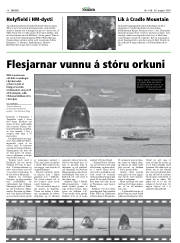 Síða 18