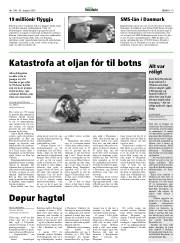 Síða 19