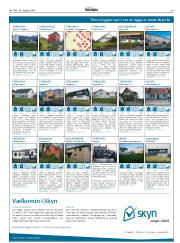 Síða 29
