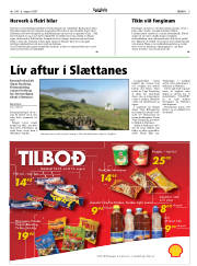 Síða 5