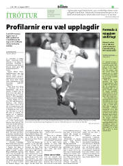 Síða 29