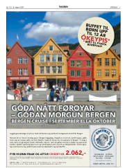 Síða 3