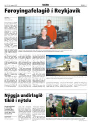 Síða 17
