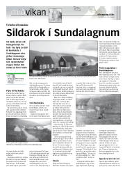 Síða 19