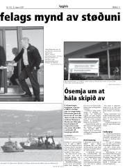 Síða 11