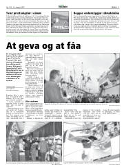 Síða 11