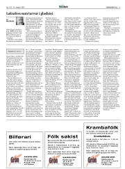 Síða 13
