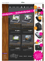 Síða 5