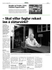 Síða 7