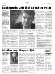 Síða 8