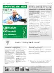 Síða 43