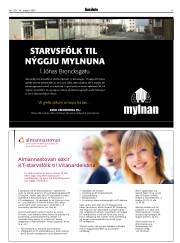 Síða 17
