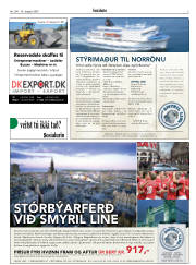 Síða 3