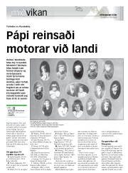 Síða 17