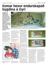 Síða 22