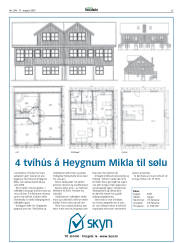 Síða 25