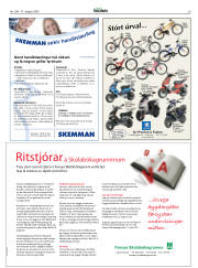 Síða 29