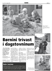 Síða 17