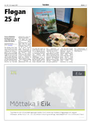 Síða 19