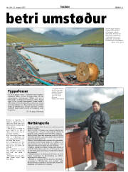 Síða 21