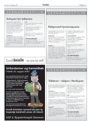 Síða 31
