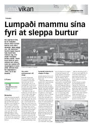 Síða 17