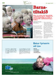 Síða 20