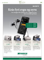 Síða 21