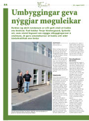 Síða 22