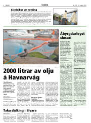 Síða 6