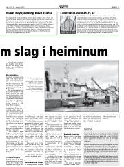 Síða 11