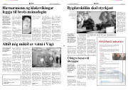 Síða 2