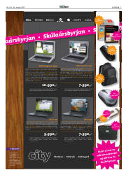 Síða 3
