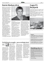 Síða 17