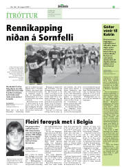 Síða 35
