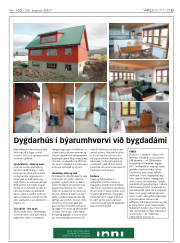 Síða 19