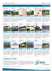 Síða 21
