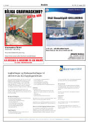 Síða 2