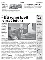 Síða 8