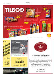 Síða 17