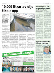 Síða 18