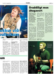 Síða 25