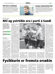 Síða 29