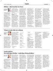 Síða 13